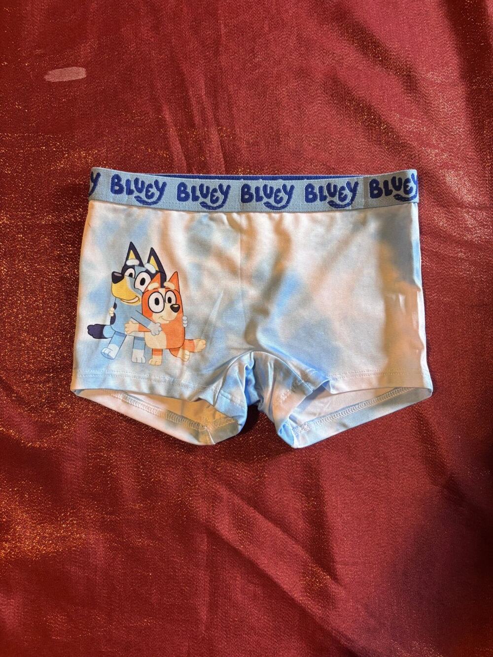 Bluey Swim Shorts Kids Size 6 Blue Cartoon Pool Beach Character Trunks Printed